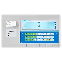 AE 504 Advanced Label Printing Indicator.webp