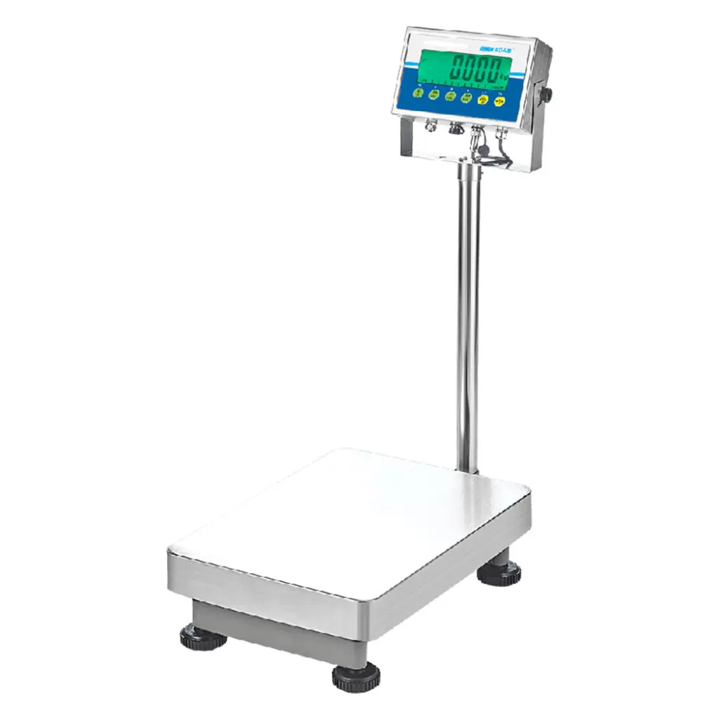 AGB and AGF Bench and Floor Scales.webp