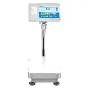BCT Advanced Label Printing Scales (4).webp