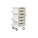 Core 6D Cart(6).webp
