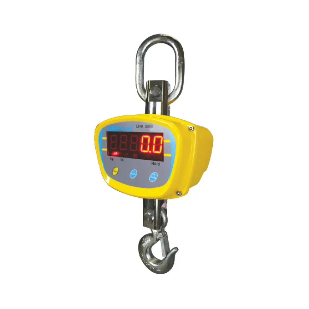 LHS Crane Scales.webp