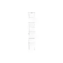 50913.webp