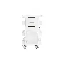 Core DX Cart with Hinged Door and Railtop.webp