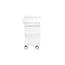 Core DX Cart with Hinged Door and Railtop (1).webp