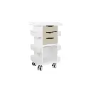 Core DX Cart with Sliding Door and Railtop(6).webp