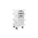 Core DX Cart with Sliding Door and Railtop(7).webp