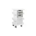 Core DX Cart with Sliding Door and Railtop(10).webp