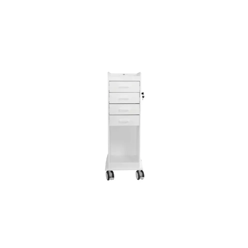 TL 4D Carts.webp