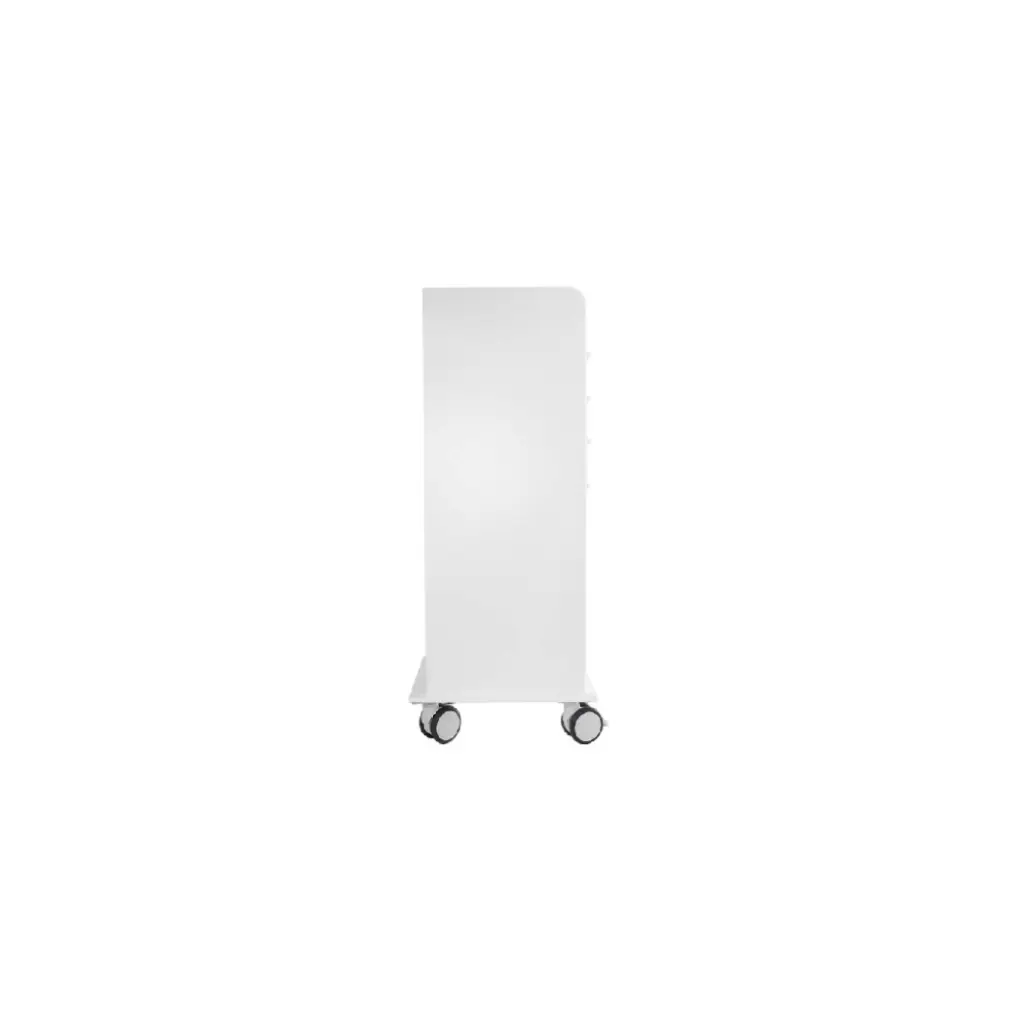 TL 4D Carts(1).webp