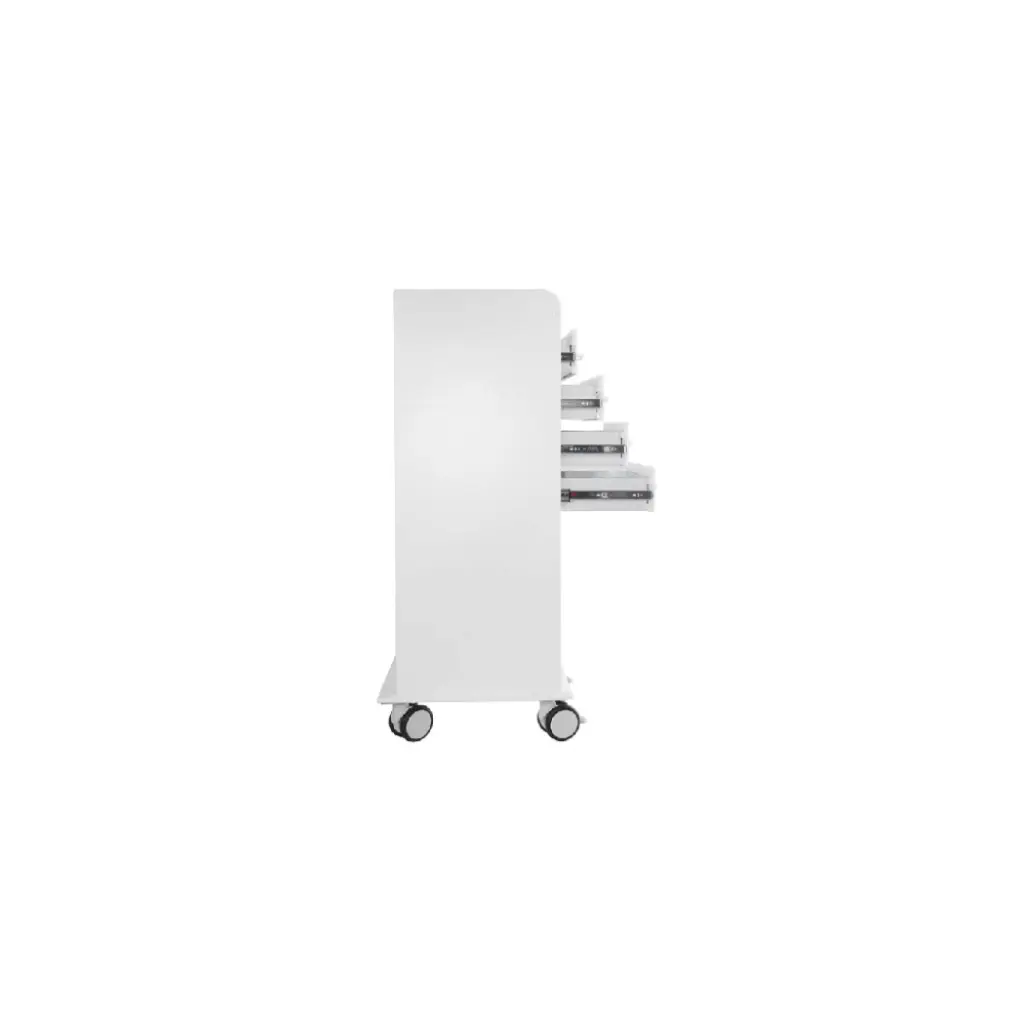 TL 4D Carts(5).webp