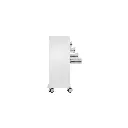 TL 4D Carts(5).webp
