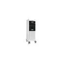 TL 4D Carts(9).webp