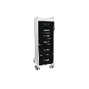 TL 6D Carts(2).webp