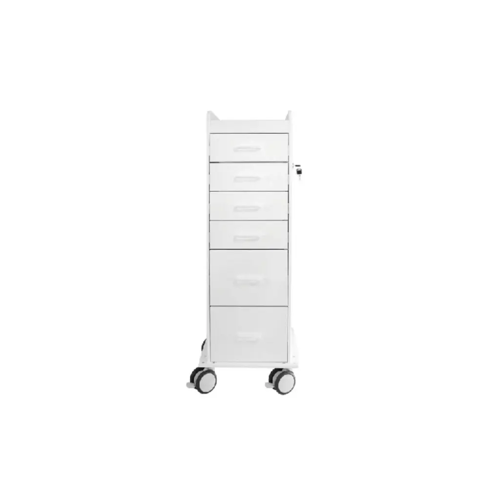 TL 6D Carts(6).webp