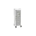 TL 8D Carts(8).webp