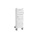 TL 6D Carts