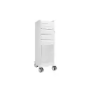 TL 4D Carts