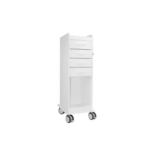 TL 4D Carts