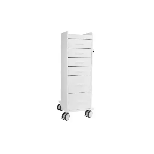 TL 6D Carts
